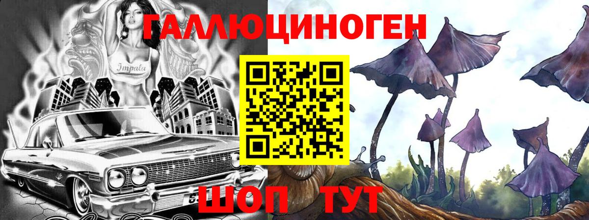 Псилоцибиновые грибы GOLDEN TEACHER  Вход с VPN  Ростов-на-Дону 