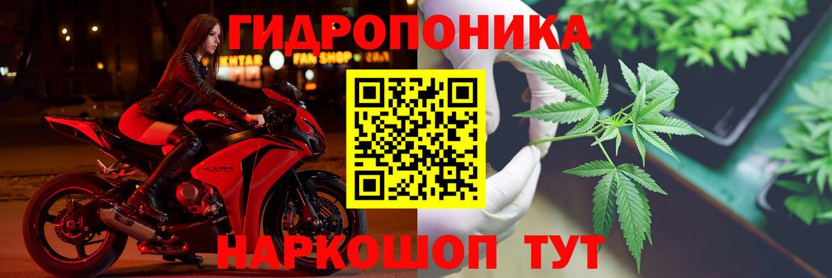 Канабис семена Ростов-на-Дону